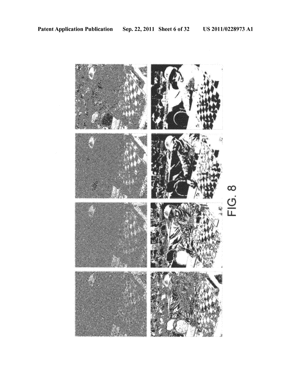 Methods and systems for digital image security - diagram, schematic, and image 07