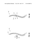 System and Method for Propagation of Spine Labeling diagram and image