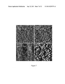 Stable Catalyst Layers for Hydrogen Permeable Composite Membranes diagram and image