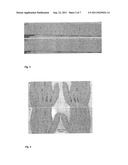 FORMULA FOR REMOVING COLOR COATS AND VARIOUS SOIL LAYERS FROM SURFACES,     METHOD FOR PRODUCING THE AGENT, AND METHOD FOR CLEANING diagram and image