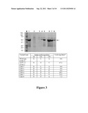 ENZYMES AND METHODS FOR DEGRADING S-TRIAZINES AND DIAZINES diagram and image