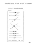 MODULATION OF IMMUNOSTIMULATORY PROPERTIES OF OLIGONUCLEOTIDE-BASED     COMPOUNDS BY OPTIMAL PRESENTATION OF 5  ENDS diagram and image