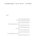 MODULATION OF IMMUNOSTIMULATORY PROPERTIES OF OLIGONUCLEOTIDE-BASED     COMPOUNDS BY OPTIMAL PRESENTATION OF 5  ENDS diagram and image