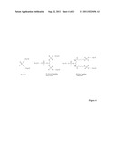 MODULATION OF IMMUNOSTIMULATORY PROPERTIES OF OLIGONUCLEOTIDE-BASED     COMPOUNDS BY OPTIMAL PRESENTATION OF 5  ENDS diagram and image