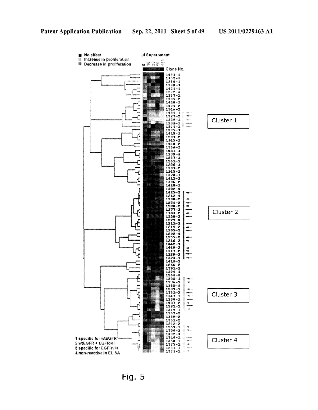 RECOMBINANT ANTI-EPIDERMAL GROWTH FACTOR RECEPTOR ANTIBODY COMPOSITIONS - diagram, schematic, and image 06