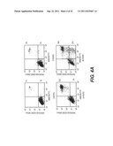 TARGETING PAX2 FOR THE TREATMENT OF BREAST CANCER diagram and image