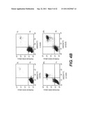 TARGETING PAX2 FOR THE TREATMENT OF BREAST CANCER diagram and image