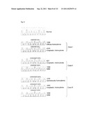 GENETIC ALTERATIONS IN ISOCITRATE DEHYDROGENASE AND OTHER GENES IN     MALIGNANT GLIOMA diagram and image