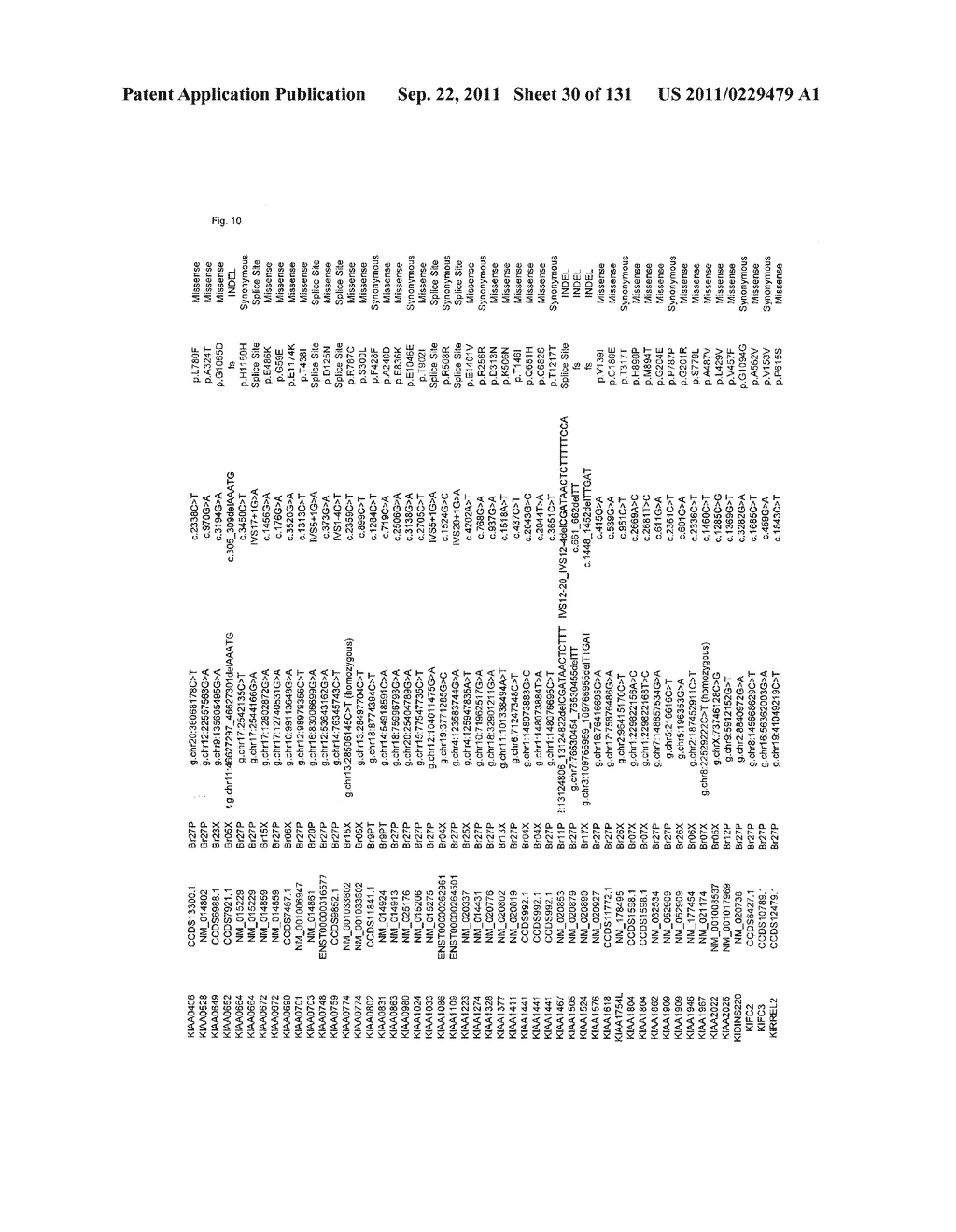 GENETIC ALTERATIONS IN ISOCITRATE DEHYDROGENASE AND OTHER GENES IN     MALIGNANT GLIOMA - diagram, schematic, and image 31