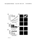 TUMOR ANGIOGENESIS ASSOCIATED GENES AND A METHOD FOR THEIR IDENTIFICATION diagram and image