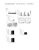 MINICHROMOSOME MAINTENANCE COMPLEX INTERACTING PROTEIN INVOLVED IN CANCER diagram and image