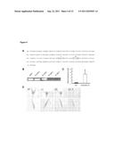 MINICHROMOSOME MAINTENANCE COMPLEX INTERACTING PROTEIN INVOLVED IN CANCER diagram and image