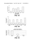 COMPOSITIONS AND METHODS FOR DIAGNOSING, TREATING, AND PREVENTING PROSTATE     CONDITIONS diagram and image