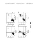 COMPOSITIONS AND METHODS FOR DIAGNOSING, TREATING, AND PREVENTING PROSTATE     CONDITIONS diagram and image