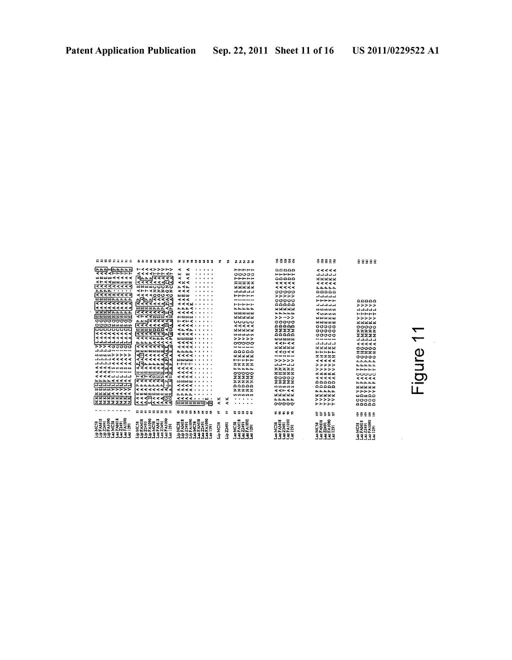 METHODS, COMPOSITIONS AND VACCINES RELATING TO NEISSERIA MENINGITIDIS     ANTIBODIES - diagram, schematic, and image 12