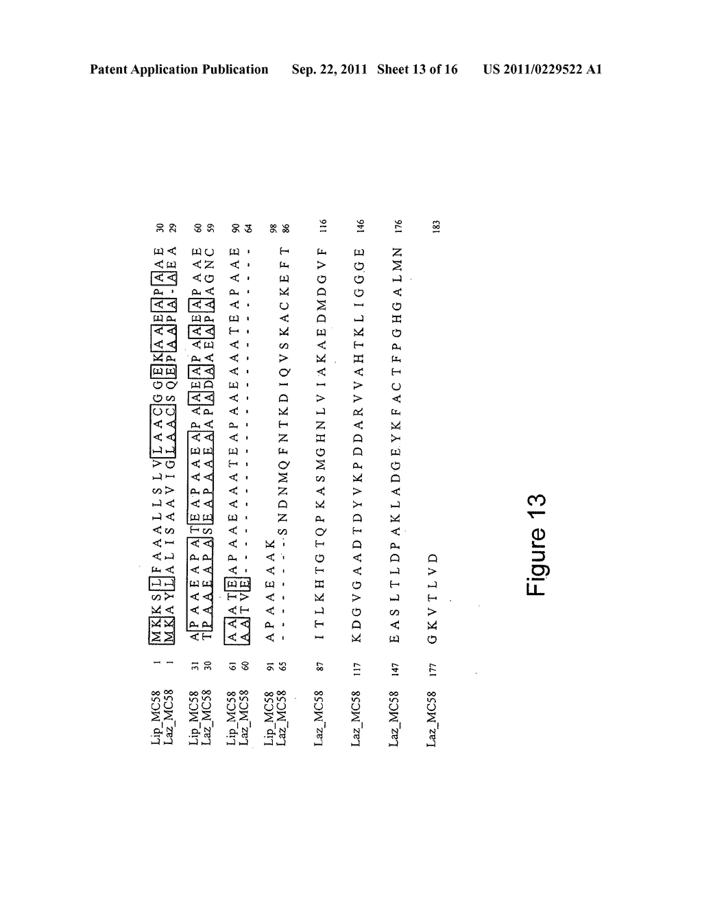 METHODS, COMPOSITIONS AND VACCINES RELATING TO NEISSERIA MENINGITIDIS     ANTIBODIES - diagram, schematic, and image 14