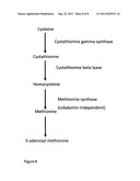 ANTI-PROTOZOA COMPOUNDS diagram and image