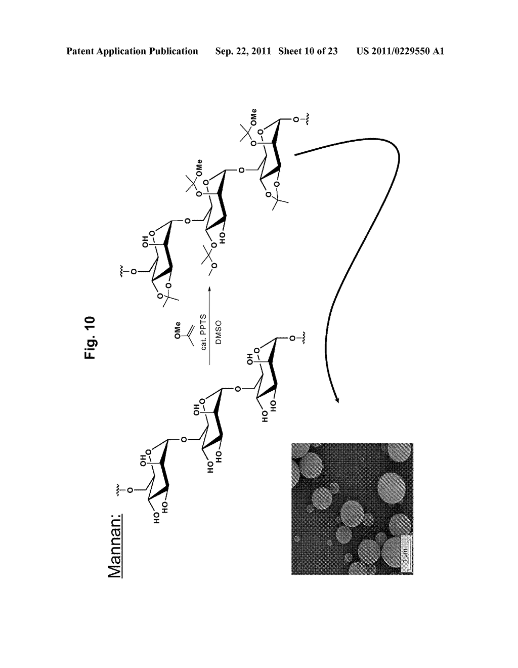 Acid-Degradable and Bioerodible Modified Polyhydroxylated Materials - diagram, schematic, and image 11