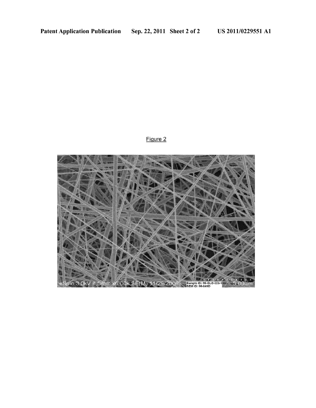 DRUG DELIVERY COMPOSITIONS AND METHODS USING NANOFIBER WEBS - diagram, schematic, and image 03