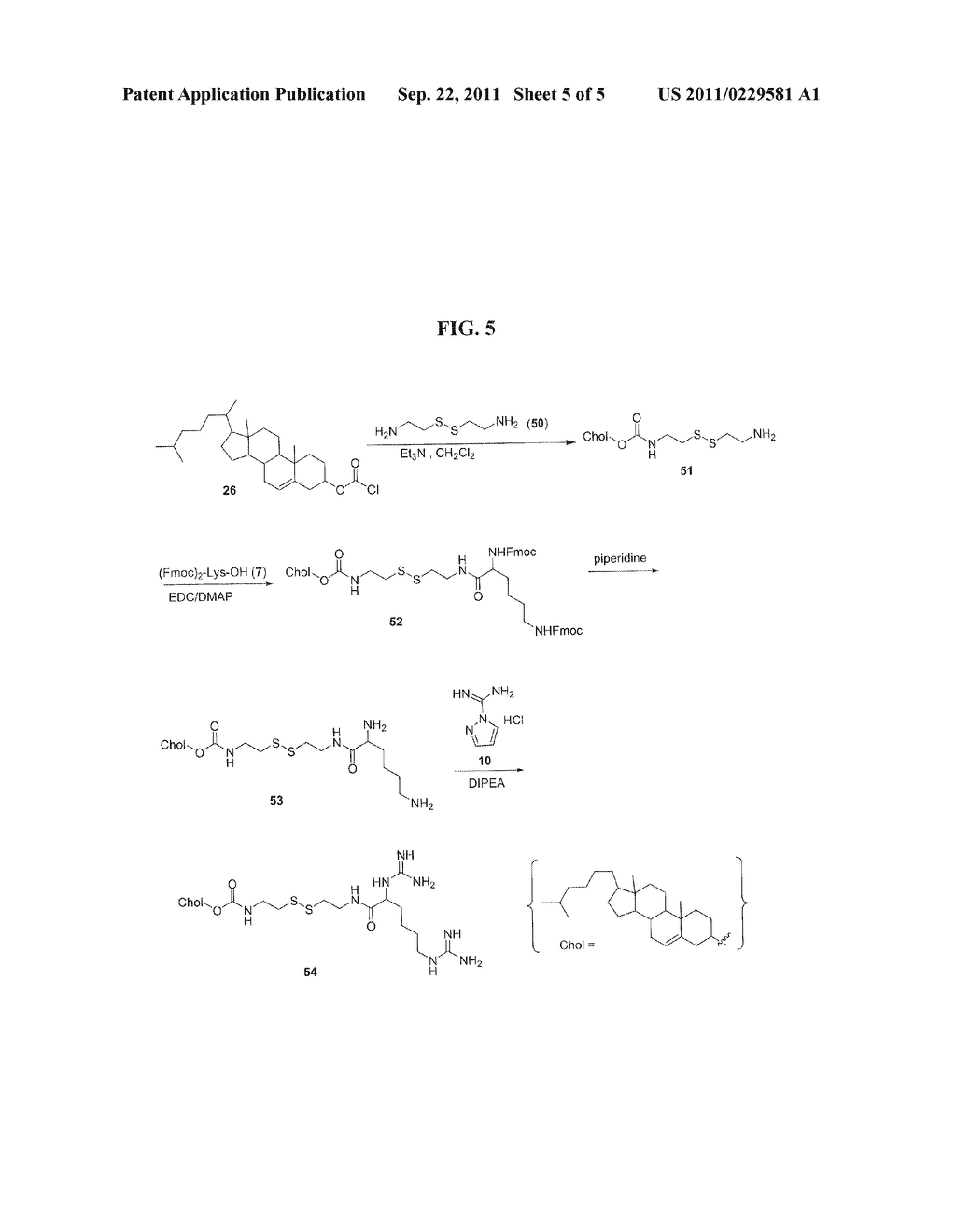 RELEASABLE CATIONIC LIPIDS FOR NUCLEIC ACIDS DELIVERY SYSTEMS - diagram, schematic, and image 06