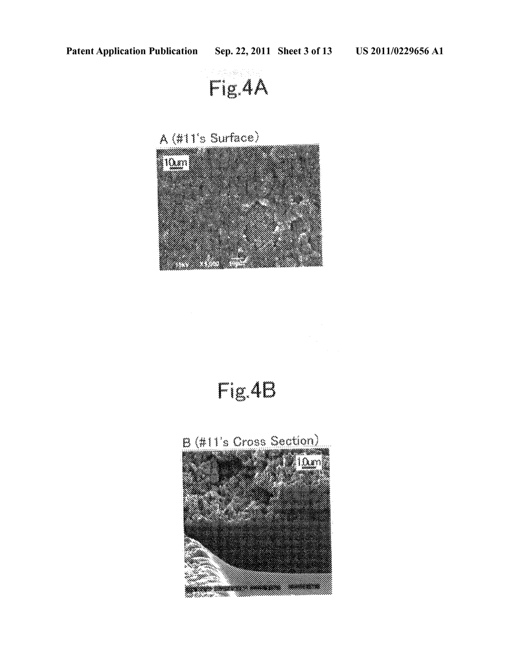 IN-LIQUID PLASMA FILM-FORMING APPARATUS, ELECTRODE FOR IN-LIQUID PLASMA,     AND FILM-FORMING METHOD USING IN-LIQUID PLASMA - diagram, schematic, and image 04