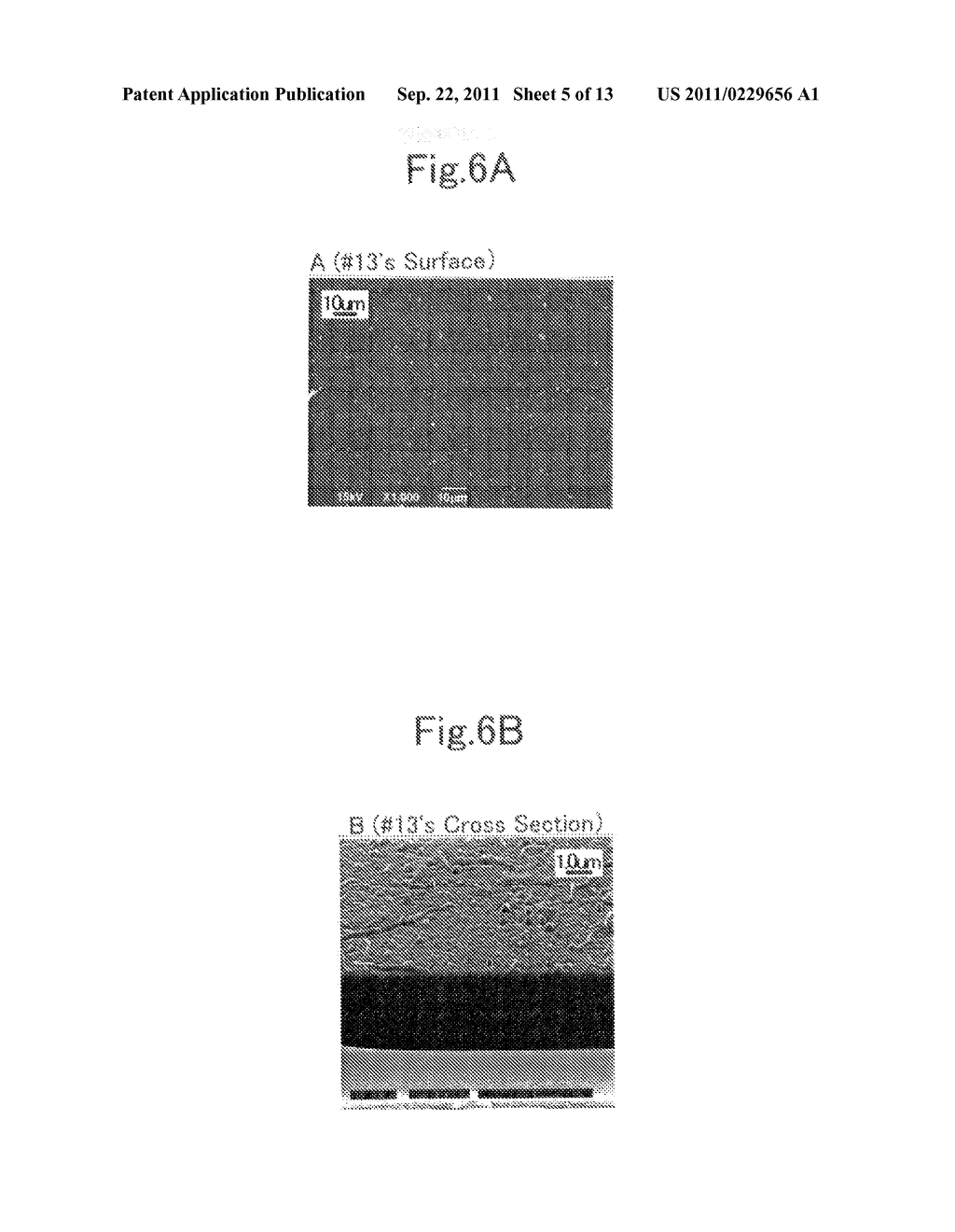 IN-LIQUID PLASMA FILM-FORMING APPARATUS, ELECTRODE FOR IN-LIQUID PLASMA,     AND FILM-FORMING METHOD USING IN-LIQUID PLASMA - diagram, schematic, and image 06