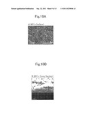 IN-LIQUID PLASMA FILM-FORMING APPARATUS, ELECTRODE FOR IN-LIQUID PLASMA,     AND FILM-FORMING METHOD USING IN-LIQUID PLASMA diagram and image