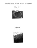 IN-LIQUID PLASMA FILM-FORMING APPARATUS, ELECTRODE FOR IN-LIQUID PLASMA,     AND FILM-FORMING METHOD USING IN-LIQUID PLASMA diagram and image