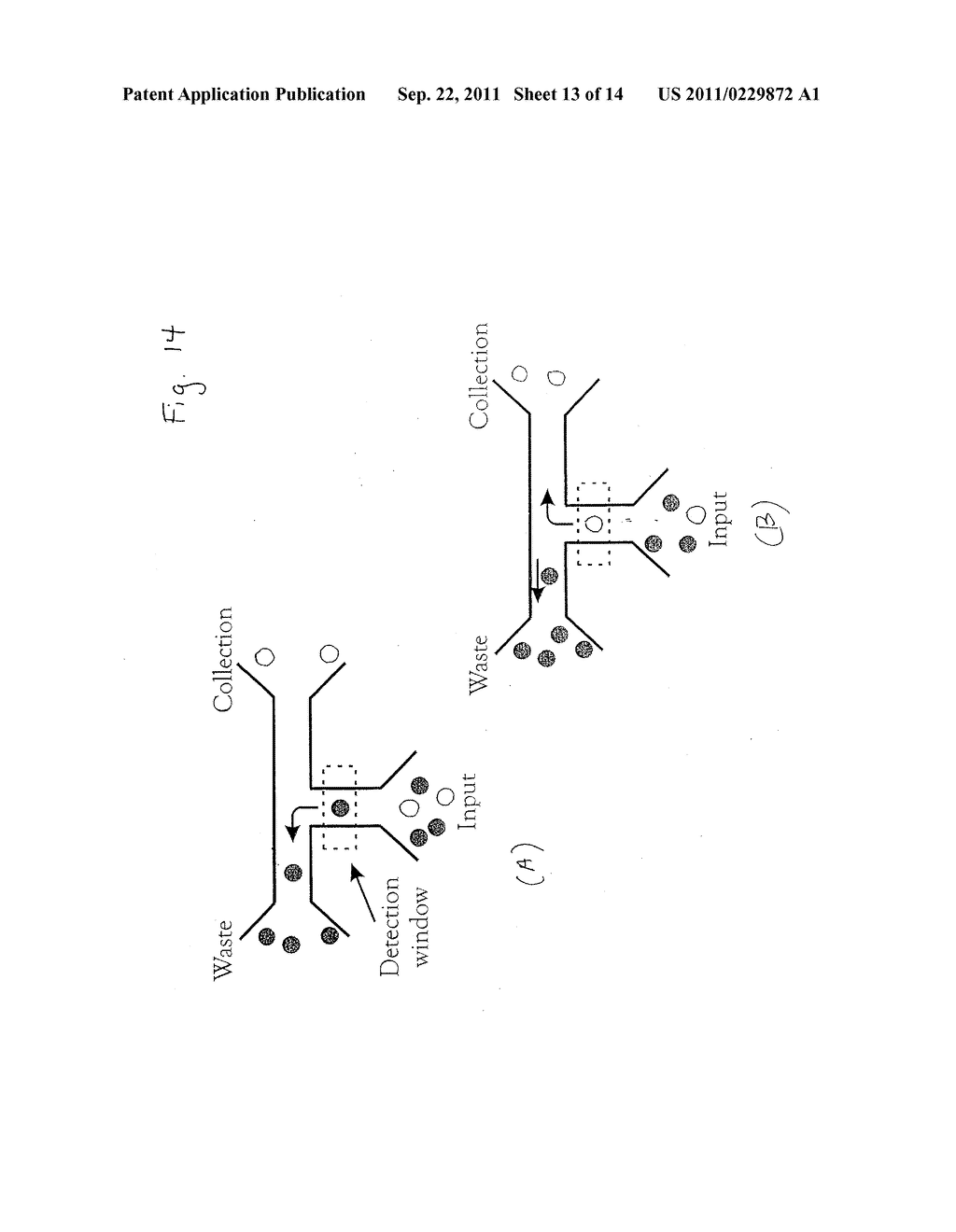 Microfabricated Cell Sorter - diagram, schematic, and image 14