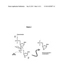 ENZYME-PORE CONSTRUCTS diagram and image