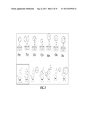 SCREENING METHODS FOR IDENTIFYING SPECIFIC STAPHYLOCOCCUS AUREUS     INHIBITORS diagram and image