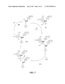 SCREENING METHODS FOR IDENTIFYING SPECIFIC STAPHYLOCOCCUS AUREUS     INHIBITORS diagram and image