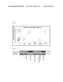 SCREENING ASSAYS FOR THE IDENTIFICATION OF BACE2 INHIBITORS diagram and image