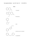 CRYSTAL OF A CYTOCHROME-LIGAND COMPLEX AND METHODS OF USE diagram and image