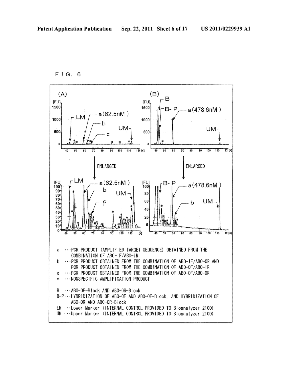 METHOD FOR AMPLIFYING DOUBLE STRANDED TARGET SEQUENCE IN DOUBLE STRANDED     DNA - diagram, schematic, and image 07