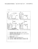 METHOD FOR AMPLIFYING DOUBLE STRANDED TARGET SEQUENCE IN DOUBLE STRANDED     DNA diagram and image