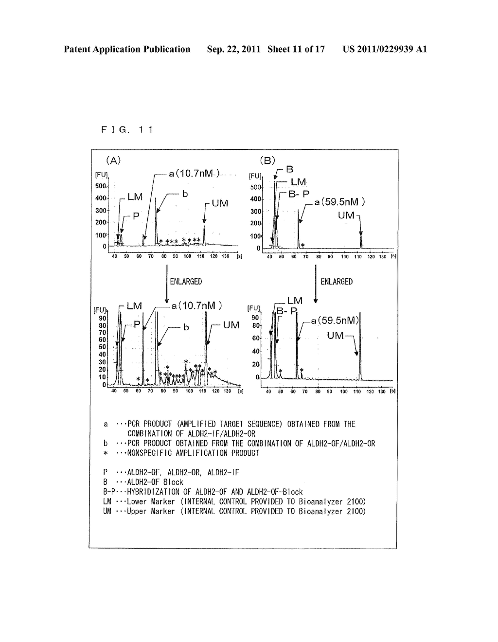 METHOD FOR AMPLIFYING DOUBLE STRANDED TARGET SEQUENCE IN DOUBLE STRANDED     DNA - diagram, schematic, and image 12