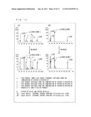 METHOD FOR AMPLIFYING DOUBLE STRANDED TARGET SEQUENCE IN DOUBLE STRANDED     DNA diagram and image