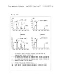 METHOD FOR AMPLIFYING DOUBLE STRANDED TARGET SEQUENCE IN DOUBLE STRANDED     DNA diagram and image