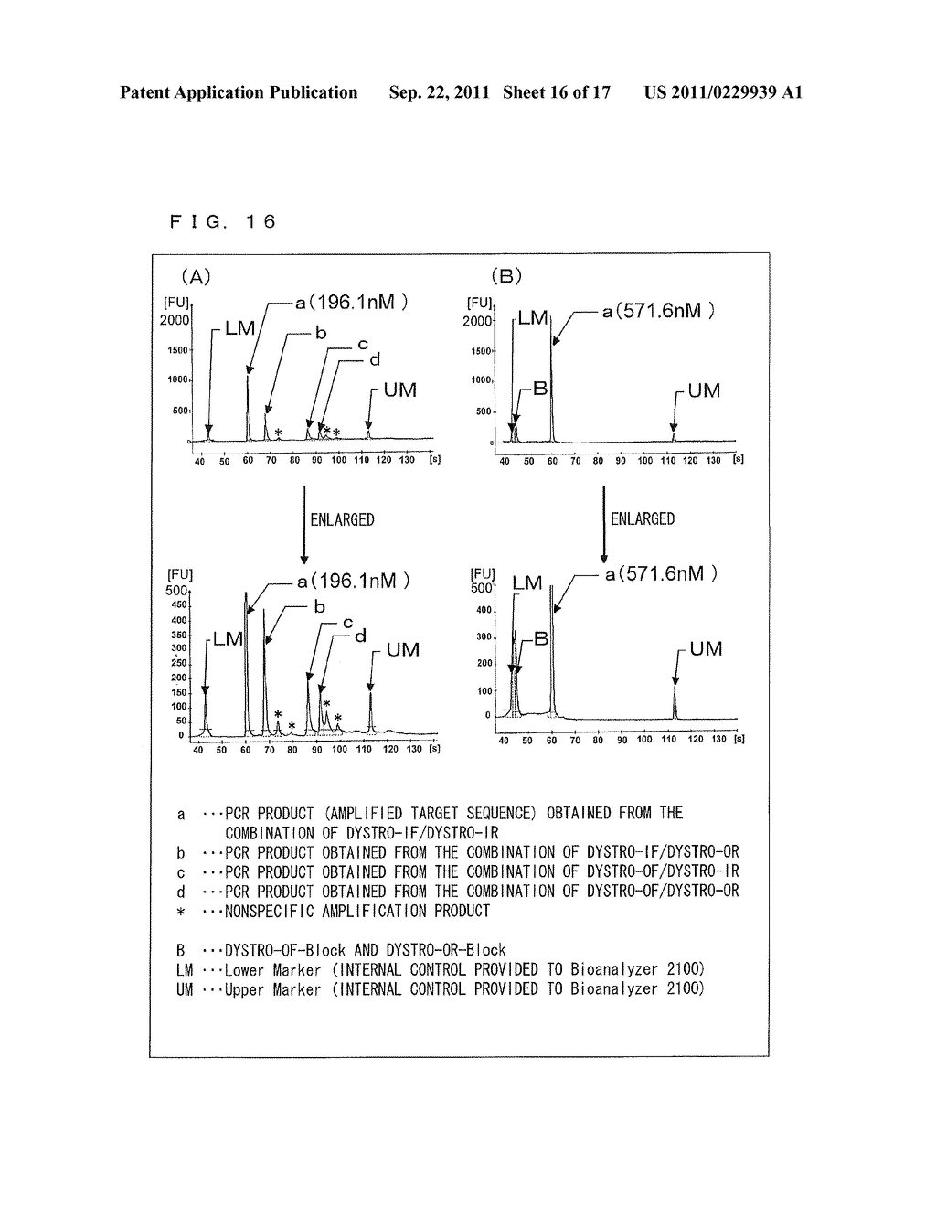 METHOD FOR AMPLIFYING DOUBLE STRANDED TARGET SEQUENCE IN DOUBLE STRANDED     DNA - diagram, schematic, and image 17