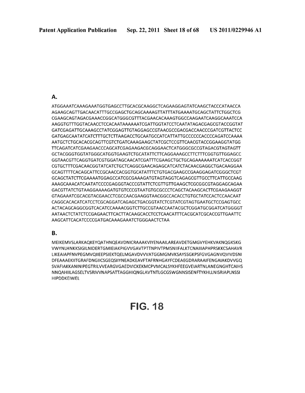 MICROORGANISMS FOR THE PRODUCTION OF 1,4-BUTANEDIOL, 4-HYDROXYBUTANAL,     4-HYDROXYBUTYRYL-COA, PUTRESCINE AND RELATED COMPOUNDS, AND METHODS     RELATED THERETO - diagram, schematic, and image 19