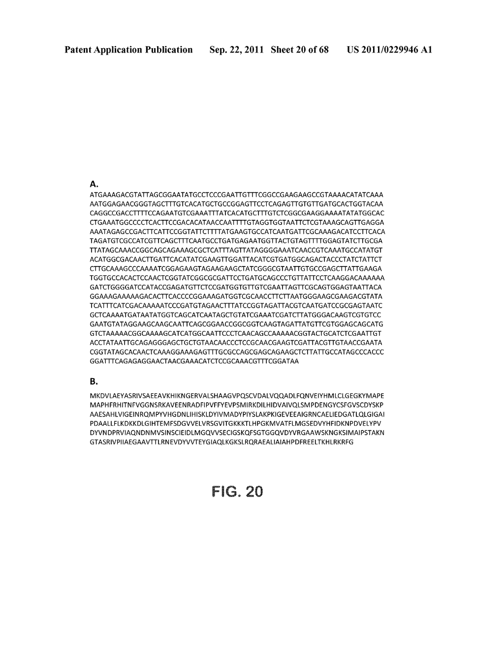 MICROORGANISMS FOR THE PRODUCTION OF 1,4-BUTANEDIOL, 4-HYDROXYBUTANAL,     4-HYDROXYBUTYRYL-COA, PUTRESCINE AND RELATED COMPOUNDS, AND METHODS     RELATED THERETO - diagram, schematic, and image 21