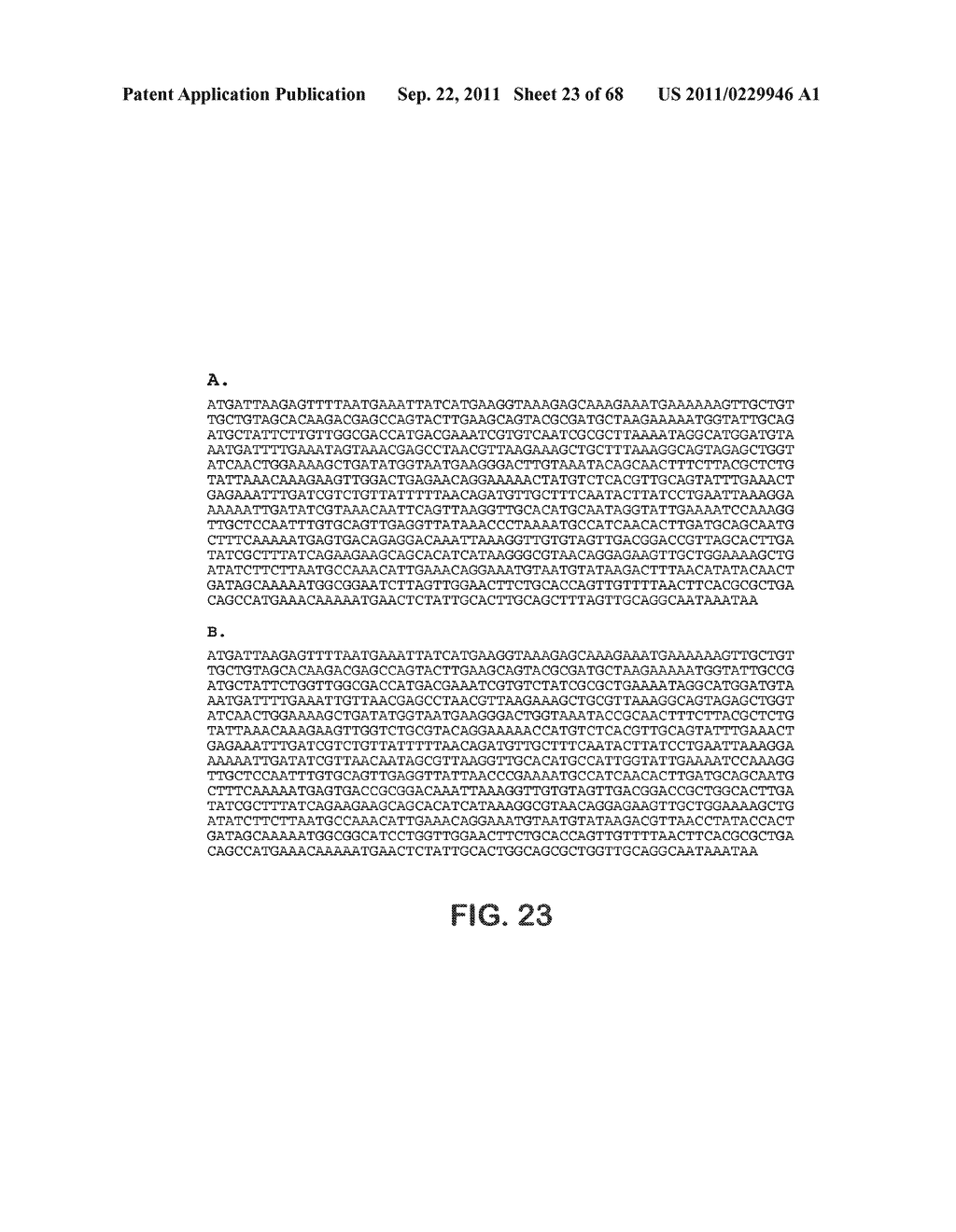 MICROORGANISMS FOR THE PRODUCTION OF 1,4-BUTANEDIOL, 4-HYDROXYBUTANAL,     4-HYDROXYBUTYRYL-COA, PUTRESCINE AND RELATED COMPOUNDS, AND METHODS     RELATED THERETO - diagram, schematic, and image 24