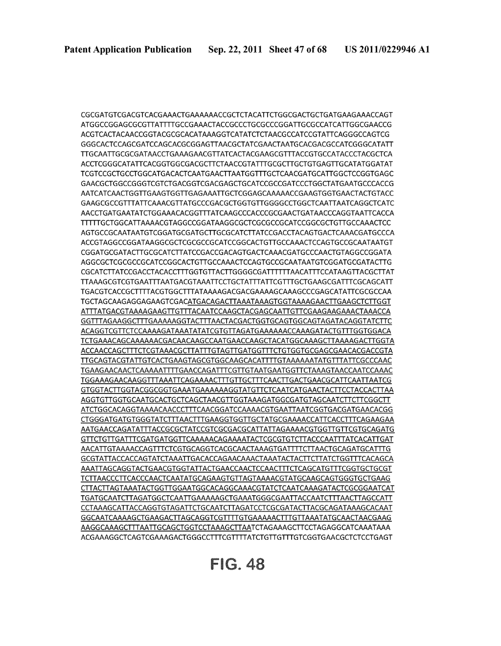 MICROORGANISMS FOR THE PRODUCTION OF 1,4-BUTANEDIOL, 4-HYDROXYBUTANAL,     4-HYDROXYBUTYRYL-COA, PUTRESCINE AND RELATED COMPOUNDS, AND METHODS     RELATED THERETO - diagram, schematic, and image 48