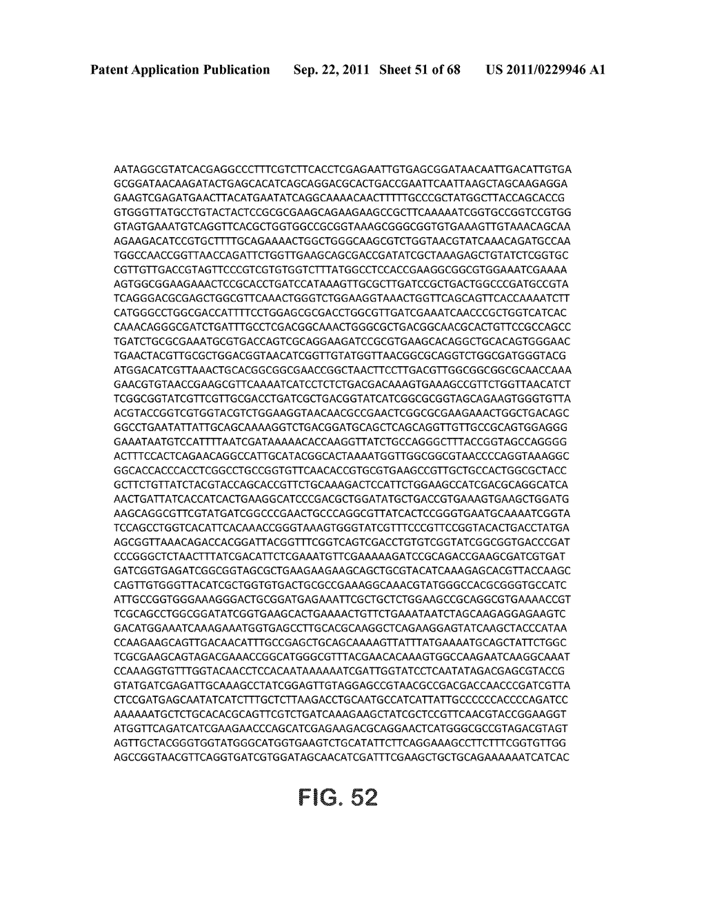 MICROORGANISMS FOR THE PRODUCTION OF 1,4-BUTANEDIOL, 4-HYDROXYBUTANAL,     4-HYDROXYBUTYRYL-COA, PUTRESCINE AND RELATED COMPOUNDS, AND METHODS     RELATED THERETO - diagram, schematic, and image 52