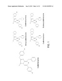 LUCIFERASES AND METHODS FOR MAKING AND USING THE SAME diagram and image