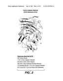 Novel Variant Hyprocrea Jecorina CBH1 Cellulases diagram and image