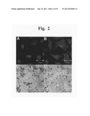 Nanoparticle-Based Gene Delivery Systems diagram and image