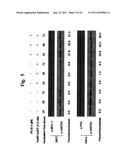 Nanoparticle-Based Gene Delivery Systems diagram and image