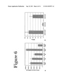 RECOMBINANT VIRUS PRODUCTION USING MAMMALIAN CELLS IN SUSPENSION diagram and image